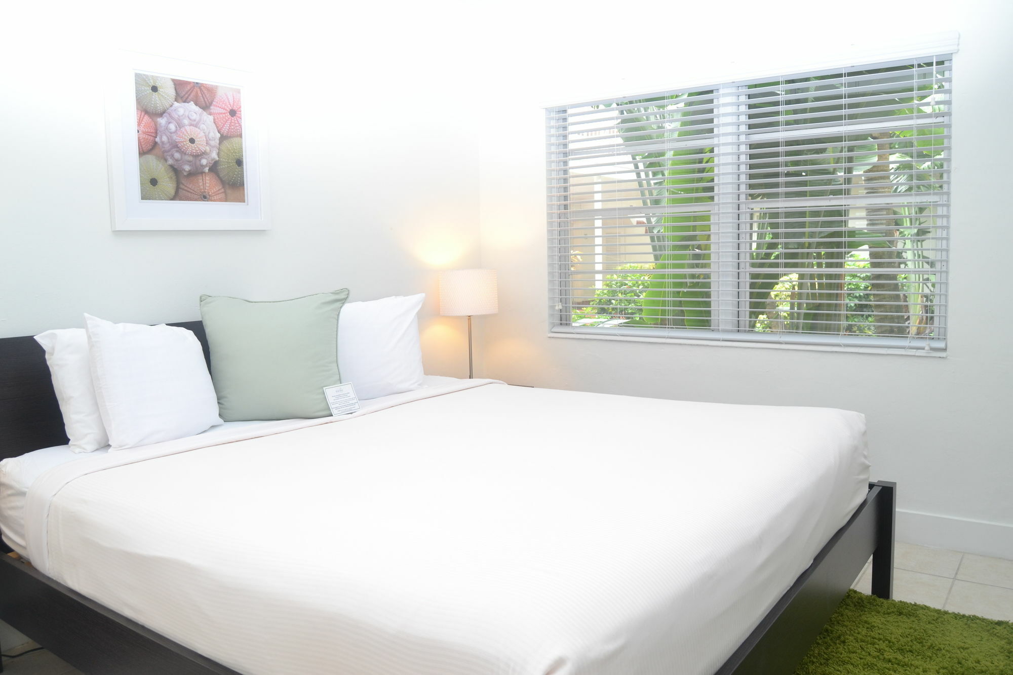Solas A North Beach Village Resort Hotel ฟอร์ต ลอเดอร์เดล ภายนอก รูปภาพ